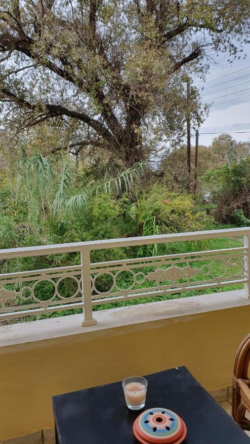 Studio Corfu Figareto Apartment กาโนนี ภายนอก รูปภาพ